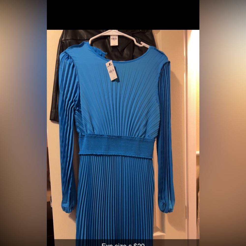 Express pleated dress